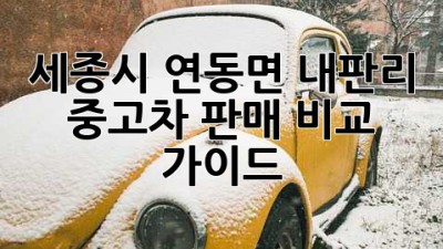 세종시 연동면 내판리 중고차 판매 비교 가이드