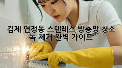 김제 연정동 스텐레스 방충망 청소 : 녹 제거 완벽 가이드