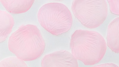 파티마트 플라워 샤워 후기: 솔직한 사용 후기와 꿀팁 대방출! 🥰
